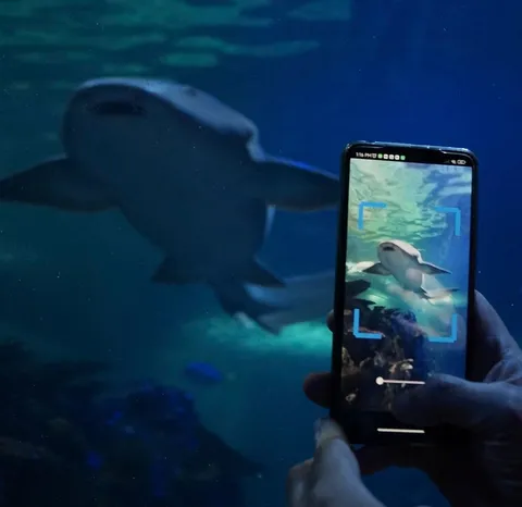 Descubre NavegAPP: Una Experiencia Interactiva en el Acuario Inbursa